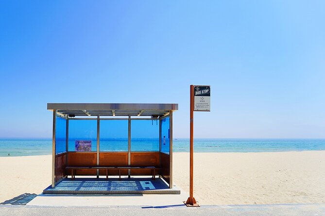 Full Day Tour In The Soop BTS Ver in PyeongChang Filming Location - Getting on board at AMID Hotel and staying on schedule