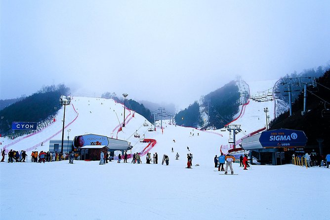 Gangchon Elysian Ski Day Trip from Seoul - Why Gangchon Elysian Ski Resort fits a Seoul day trip