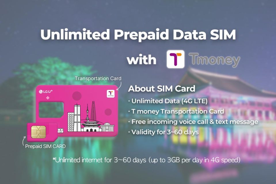 Incheon Airport: Traveler SIM & T-money Transportation Card - Who this experience fits best (and who might want a backup plan)