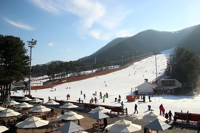 Korea Ski Tour from Seoul - Jisan Resort with Isaac Toast - Getting to Jisan: The Real Meaning of a 7:30 AM Start