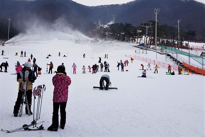 Korea Ski Tour from Seoul - Jisan Resort with Isaac Toast - Who This Ski Tour Is Best For (And Who Might Want to Skip)
