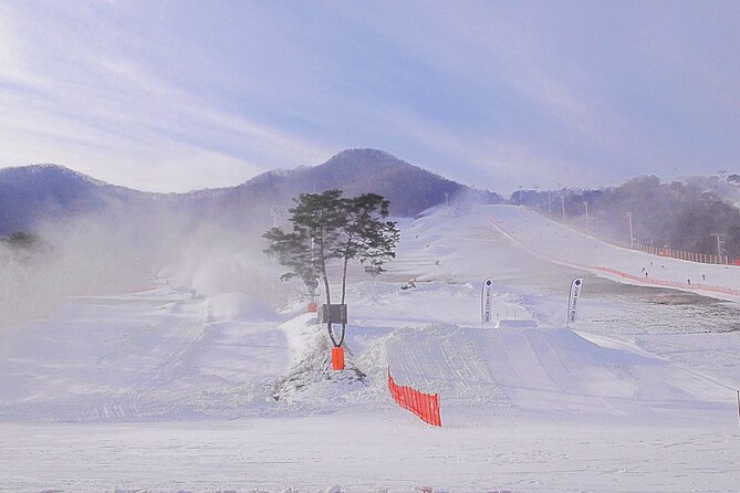 Korea Ski Tour from Seoul - Jisan Resort with Isaac Toast - The 120-Minute Beginner Ski Lesson: Where Confidence Starts