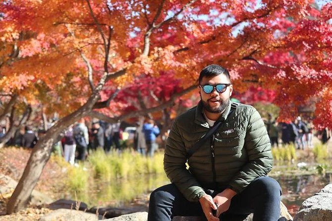 Make Your Trip Around Nami Island With an Expert(DSLR option) - Seoul to Nami Island: the day starts calm, not chaotic