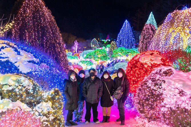 Make Your Trip Around Nami Island With an Expert(DSLR option) - Nami Island: 3 hours for the trees, the lake views, and real photo time