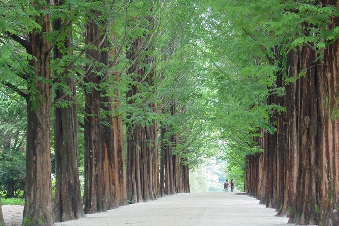 Mount Seorak and Nami Island One Day Tour from Seoul - Why this Seorak + Nami combo makes sense