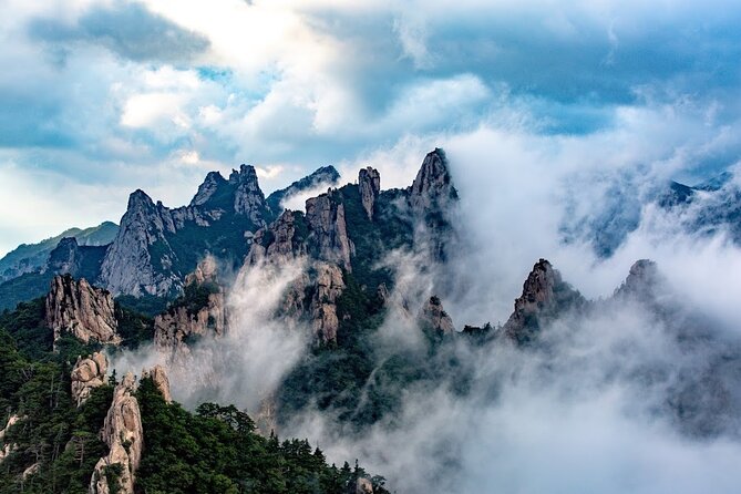 Mount Seorak and Nami Island One Day Tour from Seoul - A realistic look at the 12–13 hour flow
