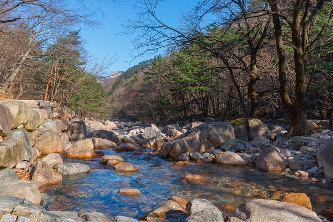 Mount Seorak and Nami Island One Day Tour from Seoul - Seoraksan National Park: the views, the trails, and the cable car question