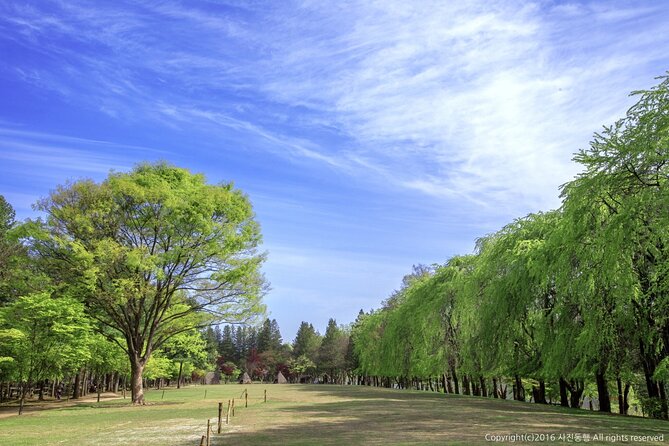 Mount Seorak and Nami Island One Day Tour from Seoul - Weather, traffic, and how to stay in control