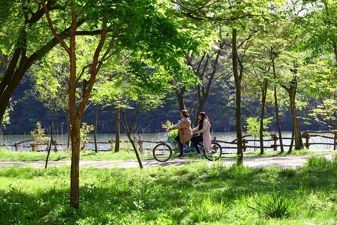 Mount Seorak and Nami Island One Day Tour from Seoul - What to pack (so you don’t hate the long day)