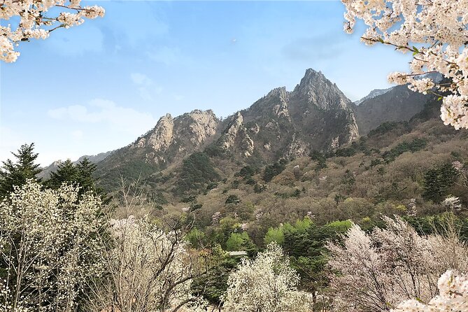 Mt. Seorak+Nami Island+Garden of Morning Calm Day Trip from Seoul - A 14-hour nature reset from Seoul