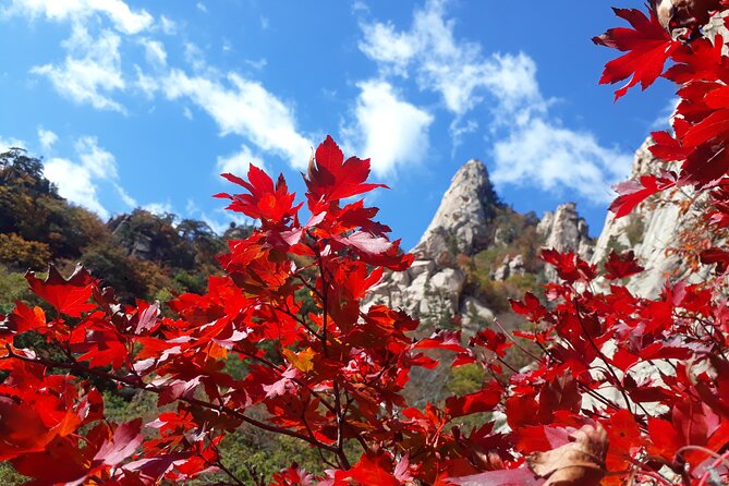 Mt. Seorak+Nami Island+Garden of Morning Calm Day Trip from Seoul - Seoraksan National Park and Shinheungsa: hiking with mountain-level payoff