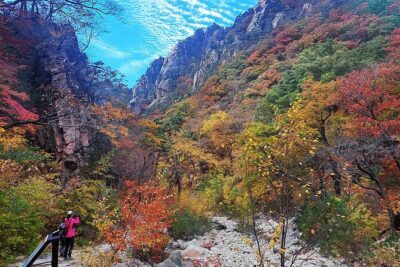 Mt. Seorak+Nami Island+Garden of Morning Calm Day Trip from Seoul - Getting there: air-conditioned minivan, ferry, and meet-up points
