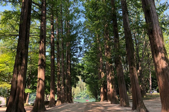 Mt. Seorak+Nami Island+Garden of Morning Calm Day Trip from Seoul - When cable cars aren’t running: Jujeongol Valley in fall foliage season