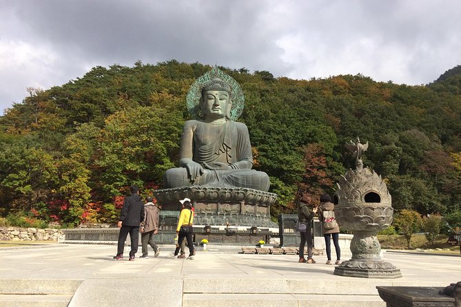 Mt. Seorak+Nami Island+Garden of Morning Calm Day Trip from Seoul - Nami Island by ferry: walking paths, ginkgo and cherry trees, and crowd math