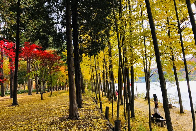 Mt. Seorak+Nami Island+Garden of Morning Calm Day Trip from Seoul - Garden of Morning Calm: make the 1 hour 10 minutes count