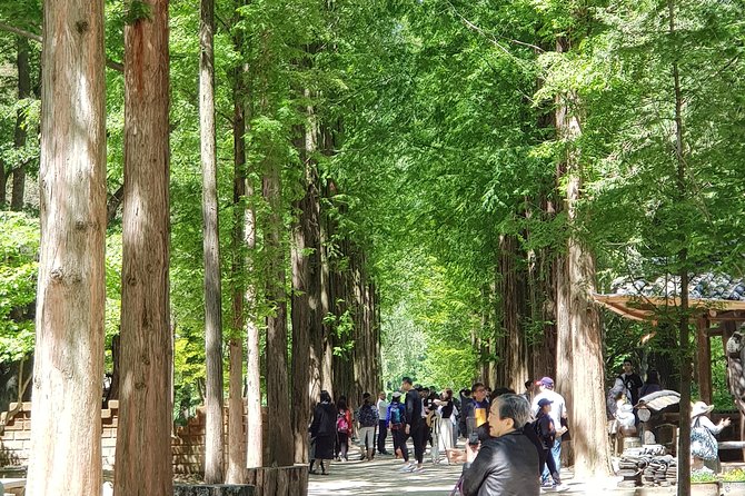 Nami Island and Petite France - Filming location - Key points worth knowing before you go