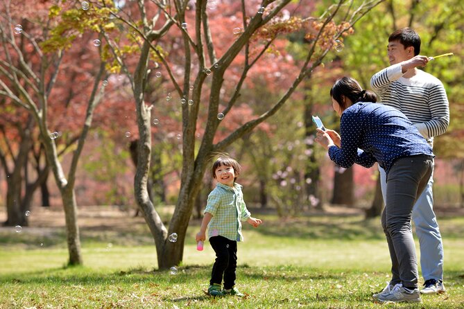 Nami Island and Petite France & Italian Village Day Trip from Seoul - Italia Village Pinocchio and Da Vinci: quirky, themed, and official