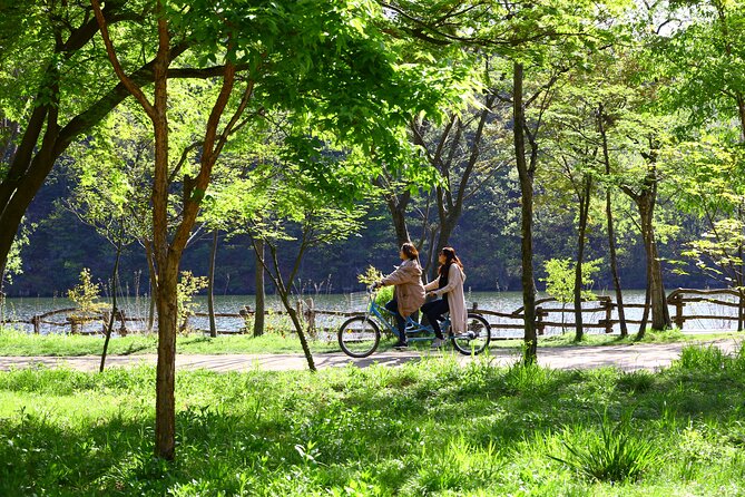 Nami Island and Petite France & Italian Village Day Trip from Seoul - Nami Island’s four hours: the real reason to come