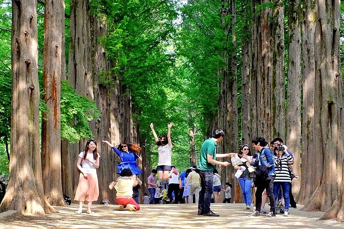 Nami Island, Cable Car, Garden of Morning Calm Panoramic Tour - From Seoul to Gapyeong: how the day starts and stays organized