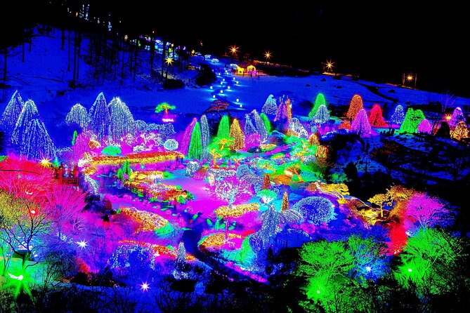 Nami Island, Cable Car, Garden of Morning Calm Panoramic Tour - The Chuncheon and ginseng stop: what the museum is for