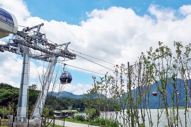 Nami Island, Cable Car, Garden of Morning Calm Panoramic Tour - Who this tour suits best (and who should skip)