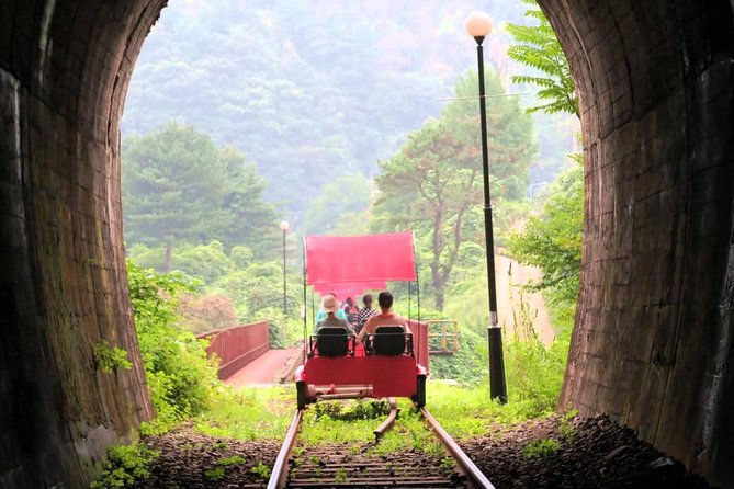 Nami Island & Garden of Morning Calm & Gangchon Railbike Tour - How the day trip flows from Hongik Univ. Station