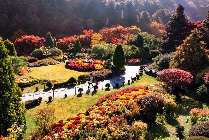 Nami Island & Garden of Morning Calm & Gangchon Railbike Tour - Air-conditioned comfort and group size: what it means for your day