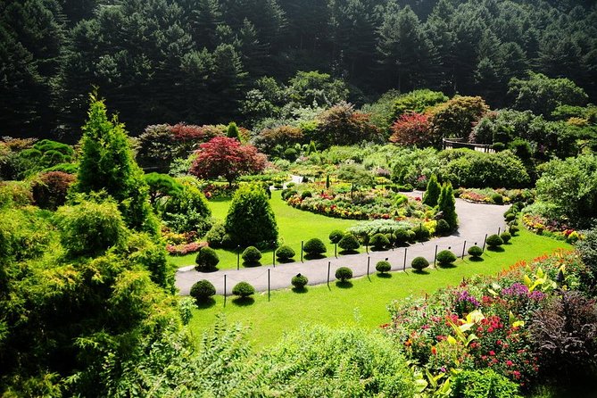 Nami Island & Garden of Morning Calm & Gangchon Railbike Tour - Price and value: what you’re really paying $75.73 for