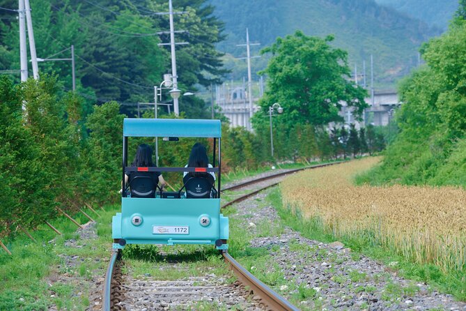Nami Island Trip with Petite France & Italian Village and Gangchon Rail Bike - A one-day countryside break that actually fits real schedules