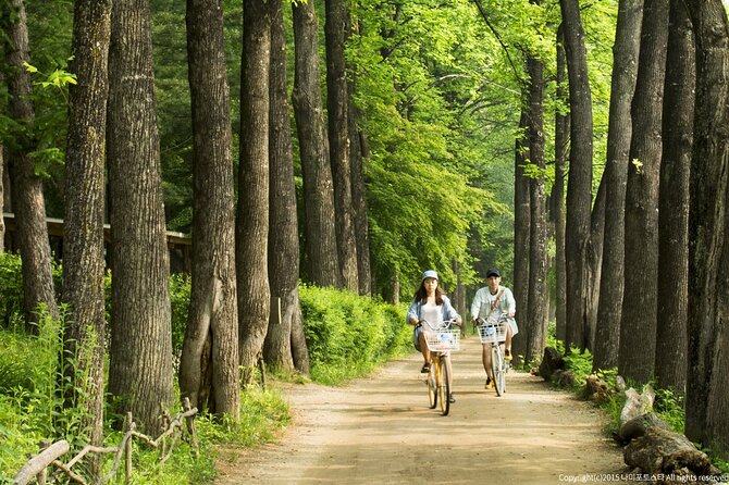 Nami Island Trip with Petite France & Italian Village and Gangchon Rail Bike - Stop 1: Petite France for photos, story vibes, and drama-scene energy