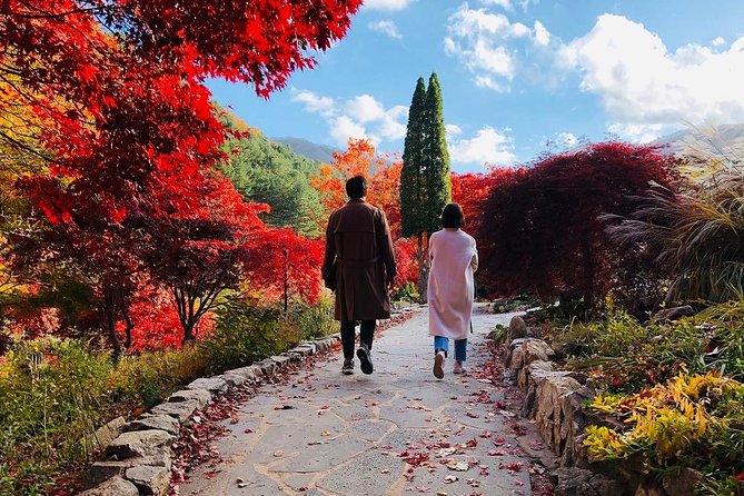 Nami+Alpaca+Garden of Morning Calm (+Rail Bike Option) - Nami Island by ferry: drama scenery plus enough time to walk