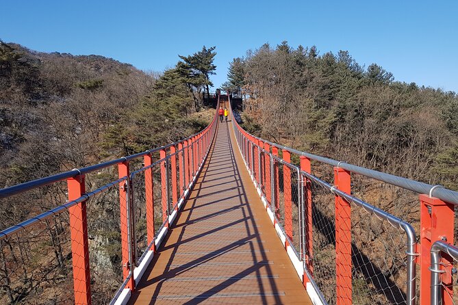 Premium Private DMZ Tour & (Suspension Bridge or N-Tower) include lunch - Premium Private DMZ Tour Value: Is $198 Worth It?