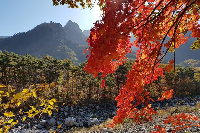 [Premium Private Tour] Mt Seorak & East Sea or Nami island from Seoul - Lunch Break: Simple Fuel in a Scenic Area