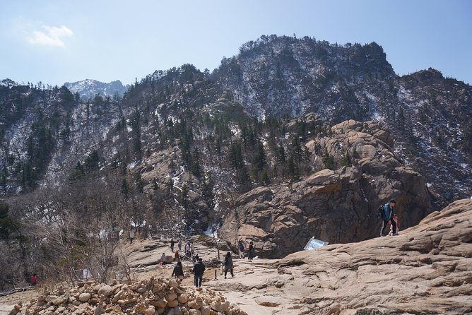 [Premium Private Tour] Mt Seorak & East Sea or Nami island from Seoul - What Your $258 Actually Buys (and Why It Can Be Worth It)