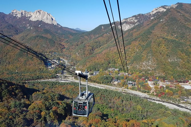 [Premium Private Tour] Mt Seorak & East Sea or Nami island from Seoul - Seoraksan National Park: Cable Car Views or Easy-Valley Walking