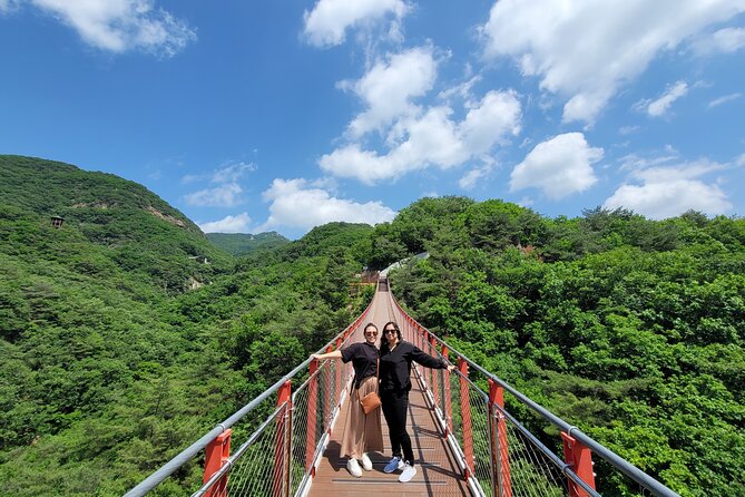 Private DMZ Tour and Suspension Bridge + Korean BBQ - Key highlights worth planning for