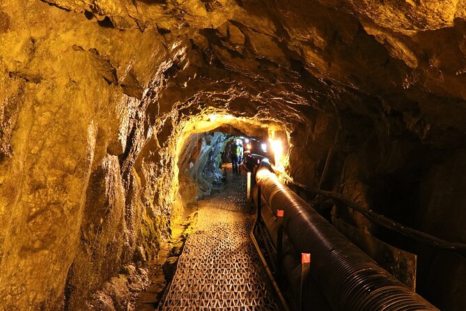 Private DMZ Tour (No Shopping): 3rd Tunnel & Suspension Bridge - How Private DMZ Days Work (and Why the ID Check Matters)