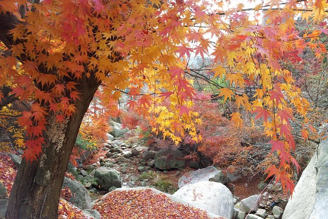 Private Hiking to Bukhansan & Korean Style Spa(Include Lunch) - Seunggasa Temple (About 1,000 Years Old) and Korean Buddhism on the Mountain