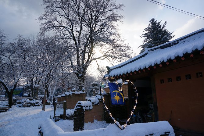 Private Tour Nami Island with Petite France 'and/or' The Garden of Morning Calm - Guides make the day: pacing, culture talk, and small lifesavers