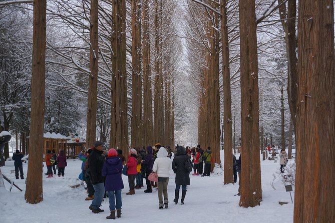 Private Tour Nami Island with Petite France 'and/or' The Garden of Morning Calm - Price and value: what $192 buys you (and what it replaces)