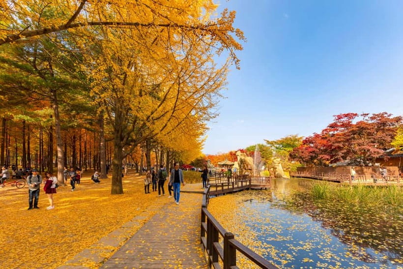 Seoul: Alpaca World & Nami Island optional Gangchon Railbike - Guides, Group Energy, and the Stuff You Can Control