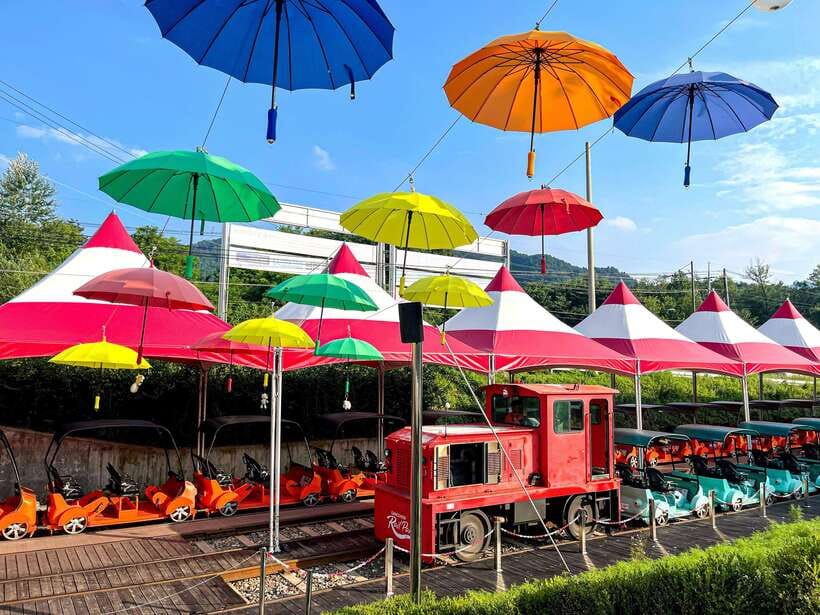 Seoul: Alpaca World & Nami Island optional Gangchon Railbike - What If You’re Going During Winter: Eobi Ice Valley Option
