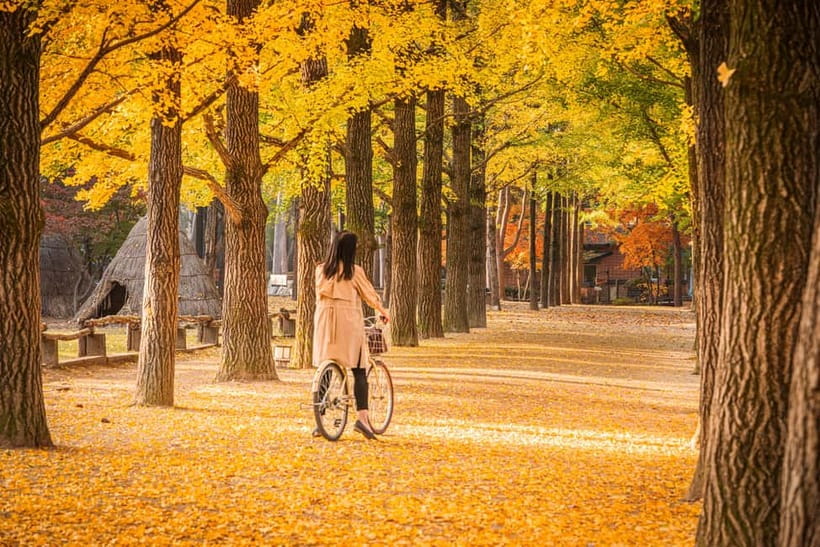 Seoul: Alpaca World & Nami Island optional Gangchon Railbike - Where You’ll Be Picked Up and Dropped Off in Seoul