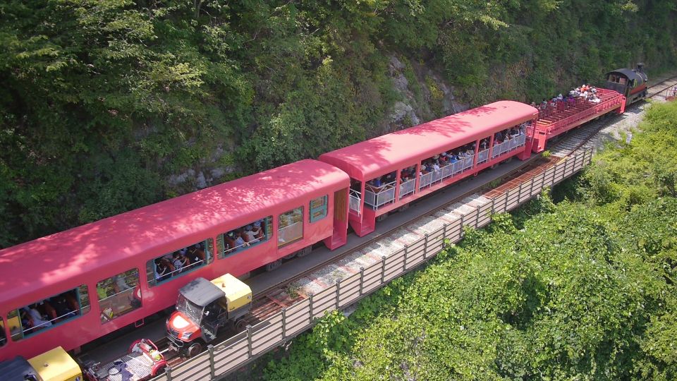 Seoul: Alpaca World & Nami Island optional Gangchon Railbike - Who Should Book This Trip (and Who Might Skip the Railbike)