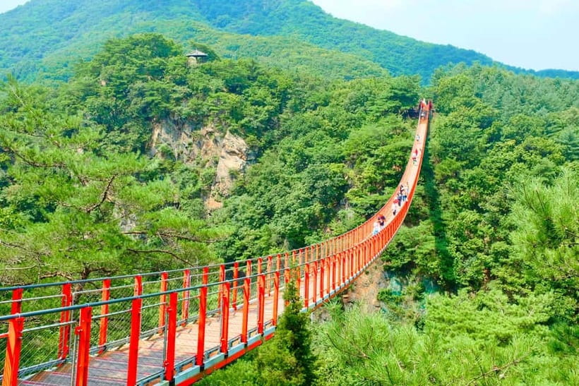 Seoul: DMZ The 3rd Tunnel and Suspension Bridge Tour - Quick hits you’ll feel on this tour