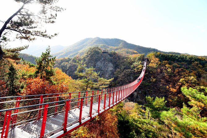 Seoul DMZ Tour with 3rd Tunnel and Red Suspension Bridge - Imjingak Pyeonghoa-Nuri Park: Memorials before the border gets physical