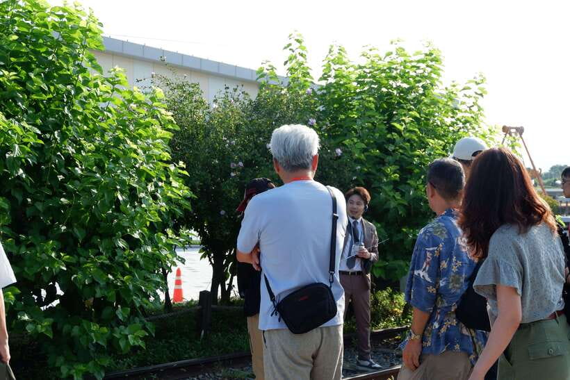 Seoul: DMZ Tour with Japanese-Speaking Guide - Rules, Passport, and the “DMZ Can Change” Reality