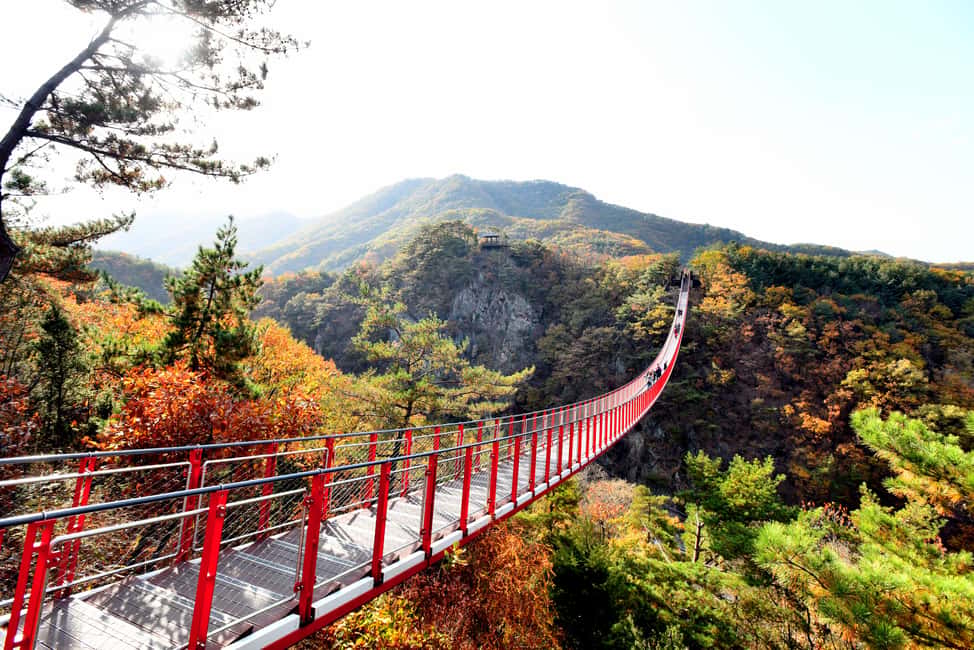 Seoul: DMZ Tour with Optional Suspension Bridge - Key things that make this DMZ trip worth your time