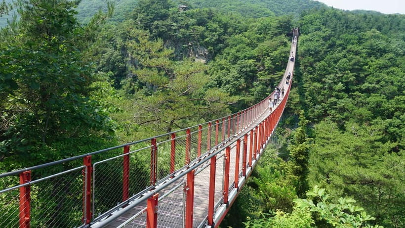 Seoul: DMZ Tour with Optional Suspension Bridge - Imjingak Park and the Bridge of Freedom: where the day turns emotional