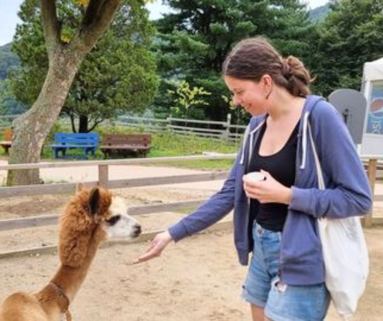 Seoul: Gangwon-do Day Trip with Alpaca World & Nami Island - Price and logistics: what you really get for $64